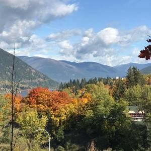 Meet your Posher, Carla